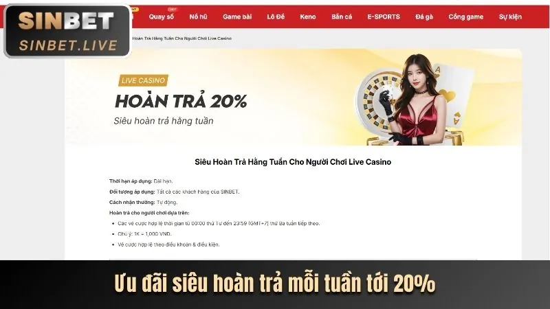 Phân tích sâu các chương trình khuyến mãi mới nhất của bmwbet88